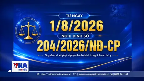 Những chính sách nổi bật có hiệu lực từ tháng 8/2026