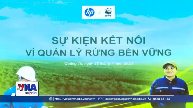Thúc đẩy hợp tác vì quản lý rừng bền vững