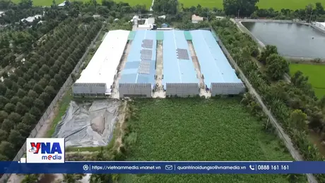 Trại nuôi vịt ảnh hưởng tới môi trường sống của người dân