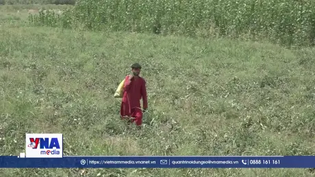 Thiên tai bủa vây nông dân Afghanistan