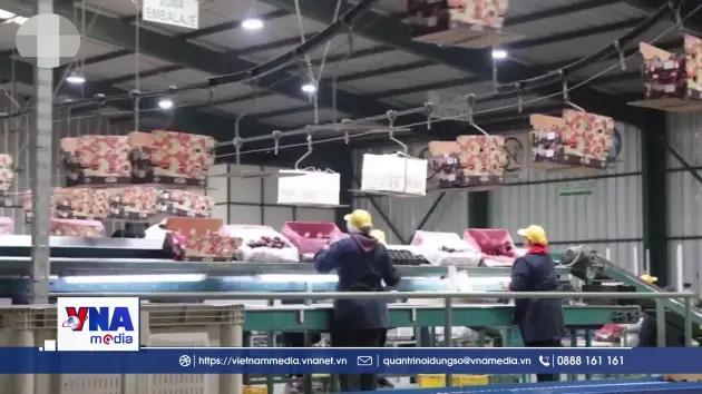  Chile triển khai các biện pháp ứng phó với thuế quan mới của Mỹ