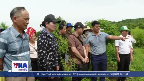 Tạo đột phá cho kinh tế tập thể bằng giải pháp công nghệ số