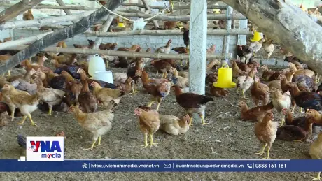 Từ nghề truyền thống đến sản phẩm hàng hóa