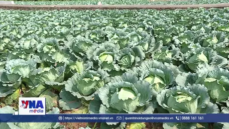 Kỳ vọng siết quản lý an toàn thực phẩm theo tiêu chuẩn mới