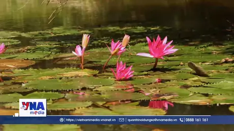 Trải nghiệm Tràm Chim – Chạm vào nhịp sống vùng đất ngập nước