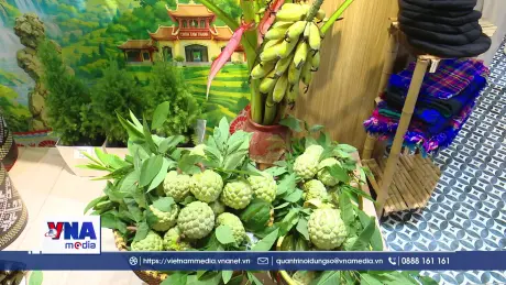 Đưa nông sản xứ Lạng đến với người tiêu dùng Thủ đô