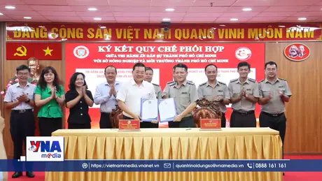 TP.HCM tăng cường phối hợp liên ngành trong thi hành án về đất đai