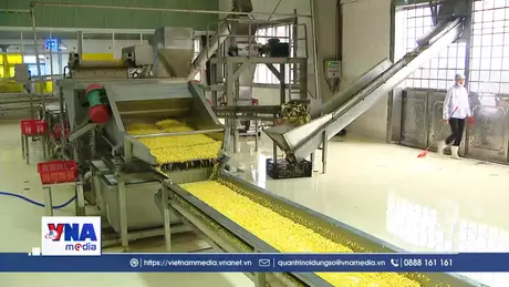 Việt Nam phấn đấu làm chủ công nghệ sinh học thế hệ mới