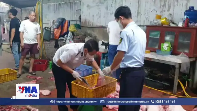 Chuyển cơ quan điều tra vụ gần 1 tấn thịt lợn nghi nhiễm dịch