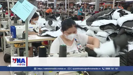 Giải pháp dài hạn trước biến động thị trường xuất khẩu