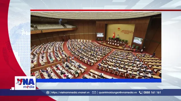 Trạm tin số chiều ngày 03/8/2026: Đề xuất cấm kinh doanh khí N2O ngoài mục đích y tế