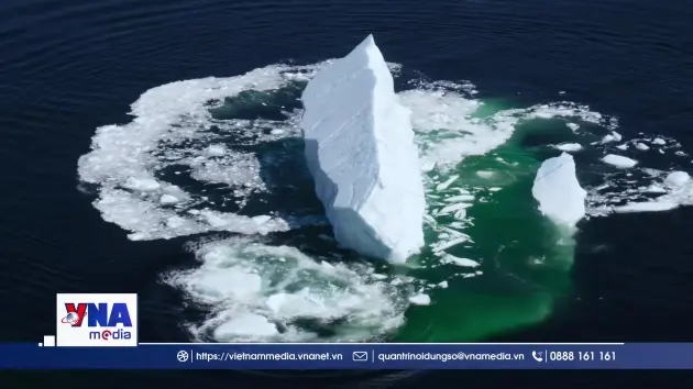 Twillingate - điểm hẹn ngắm băng trôi và cá voi ở Canada