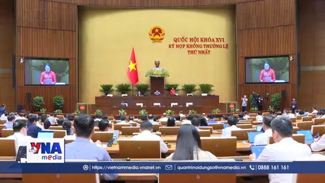 Quốc hội nghe báo cáo về các dự án Luật sửa đổi