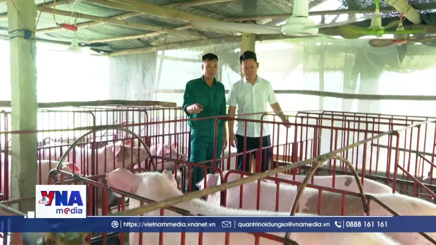 Đảm bảo an toàn dịch bệnh khi tái đàn vật nuôi