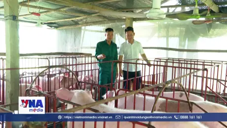 Đảm bảo an toàn dịch bệnh khi tái đàn vật nuôi