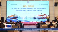 Hải Phòng kết nối doanh nghiệp với cảng biển và hãng tàu
