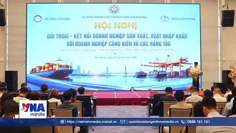 Hải Phòng kết nối doanh nghiệp với cảng biển và hãng tàu