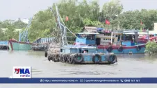 Đồng Tháp triển khai đồng bộ các giải pháp để khắc phục 'thẻ vàng IUU'
