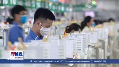 Nghị quyết số 10-NQ/TW: Kiến tạo hệ sinh thái FDI chất lượng cao