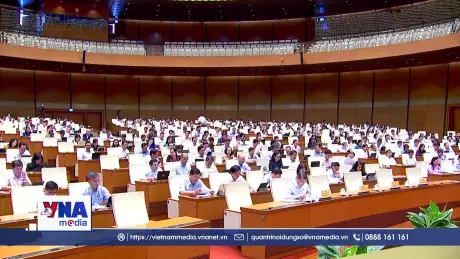 Quốc hội cho ý kiến về chính sách đặc thù phục vụ APEC 2027
