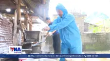 Chủ động khống chế bệnh viêm da nổi cục trên đàn bò vùng cao Tuyên Quang