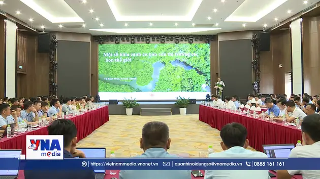 Điện Biên tìm hướng phát triển thị trường tín chỉ các-bon rừng
