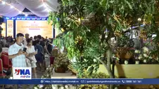 Đa dạng hình thức quảng bá đưa thương hiệu nhãn lồng vươn xa