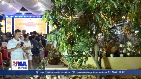 Đa dạng hình thức quảng bá đưa thương hiệu nhãn lồng vươn xa
