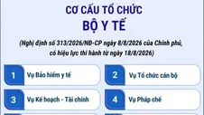 Cơ cấu tổ chức của Bộ Y tế