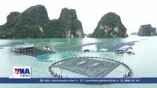 Canh tác biển, động lực mới cho kinh tế biển Việt Nam