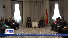 Tổng Bí thư, Chủ tịch nước Tô Lâm tiếp trí thức, nhà khoa học tiêu biểu người Việt Nam tại Australia