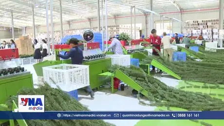 Vốn đầu tư vào Khu kinh tế mở Chu Lai vượt chỉ tiêu năm 2026