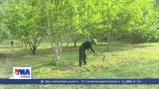 Cựu chiến binh đoàn kết phát triển kinh tế