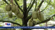Nhiều cú hích cho ngành hàng tỷ đô khởi động vụ mới