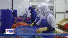 Cà Mau nỗ lực thực hiện tăng trưởng từ cơ sở