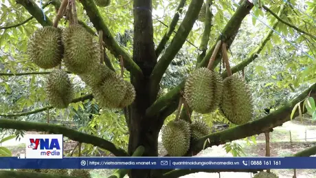 Nhiều cú hích cho ngành hàng tỷ đô khởi động vụ mới