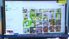Mở cửa thị trường cho nông sản Điện Biên trên sàn số