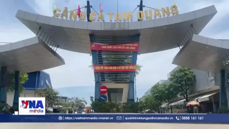 Hàng trăm tàu cá Quảng Ngãi phải “neo nhờ” cảng ngoài tỉnh khi vào bờ