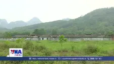 Thanh Hóa hàng loạt dự án của doanh nghiệp chậm tiến độ, gặp vướng mắc