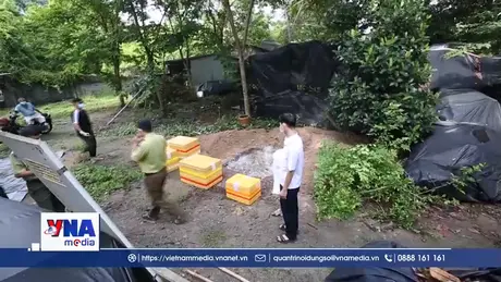 Tây Ninh tiêu hủy 127 kg thằn lằn núi Bà Đen bị vận chuyển trái phép