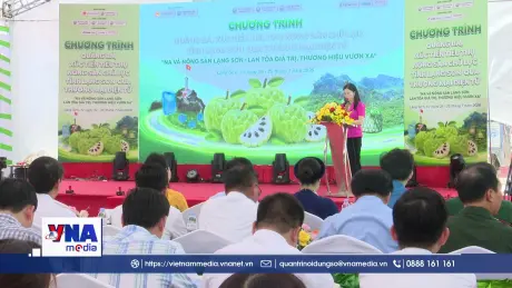 Giúp nông dân Lạng Sơn tiêu thụ nông sản chủ lực qua thương mại điện tử