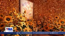 Công nghệ đưa kiệt tác Van Gogh đến gần công chúng Việt Nam