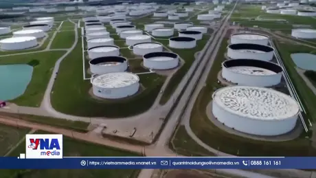 IEA và OPEC bất đồng về triển vọng nhu cầu dầu mỏ toàn cầu
