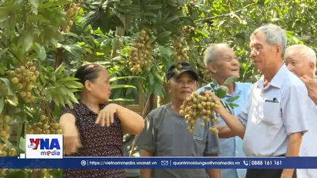 Phát huy giá trị di sản tri thức nhãn lồng Hưng Yên