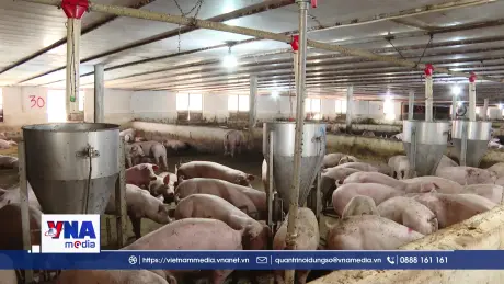 Chuẩn hóa quy trình sản xuất, nâng cao giá trị nông sản