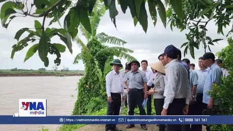 Vĩnh Long khẩn trương xử lý các điểm sạt lở tại xã Quới Thiện