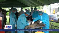 Hơn 2.800 mẫu hài cốt liệt sĩ để giám định ADN tại Đồng Tháp