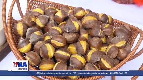 Khai mạc lễ hội mùa Hạt dẻ năm 2026