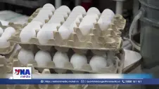 Mỹ thu hồi gần 19 triệu quả trứng do nguy cơ nhiễm khuẩn