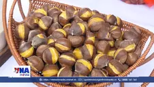 Khai mạc lễ hội mùa Hạt dẻ năm 2026